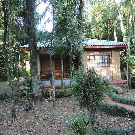 Bagu Iguazu Hotel El Lenador Puerto Iguazu Exterior photo